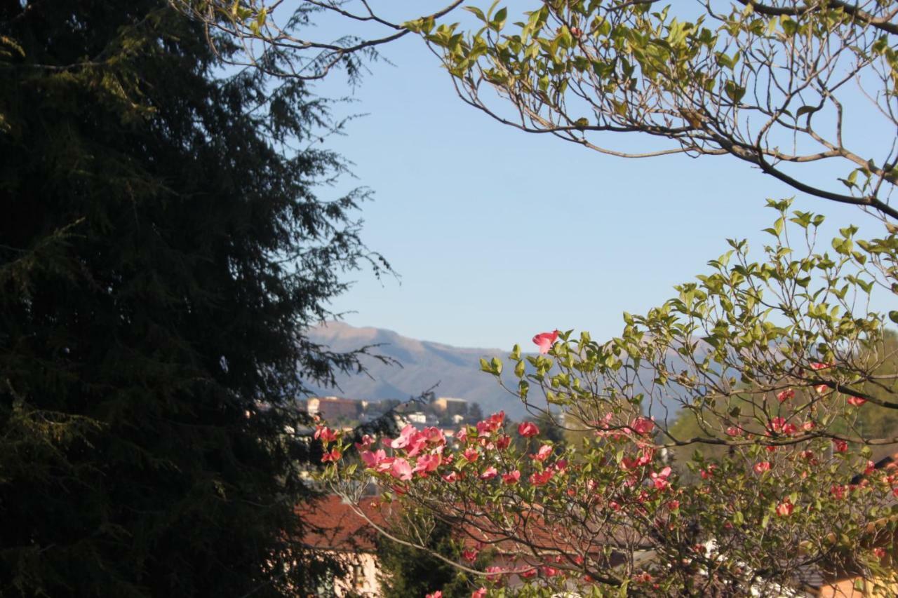 Villa Onorina Carimate Екстериор снимка